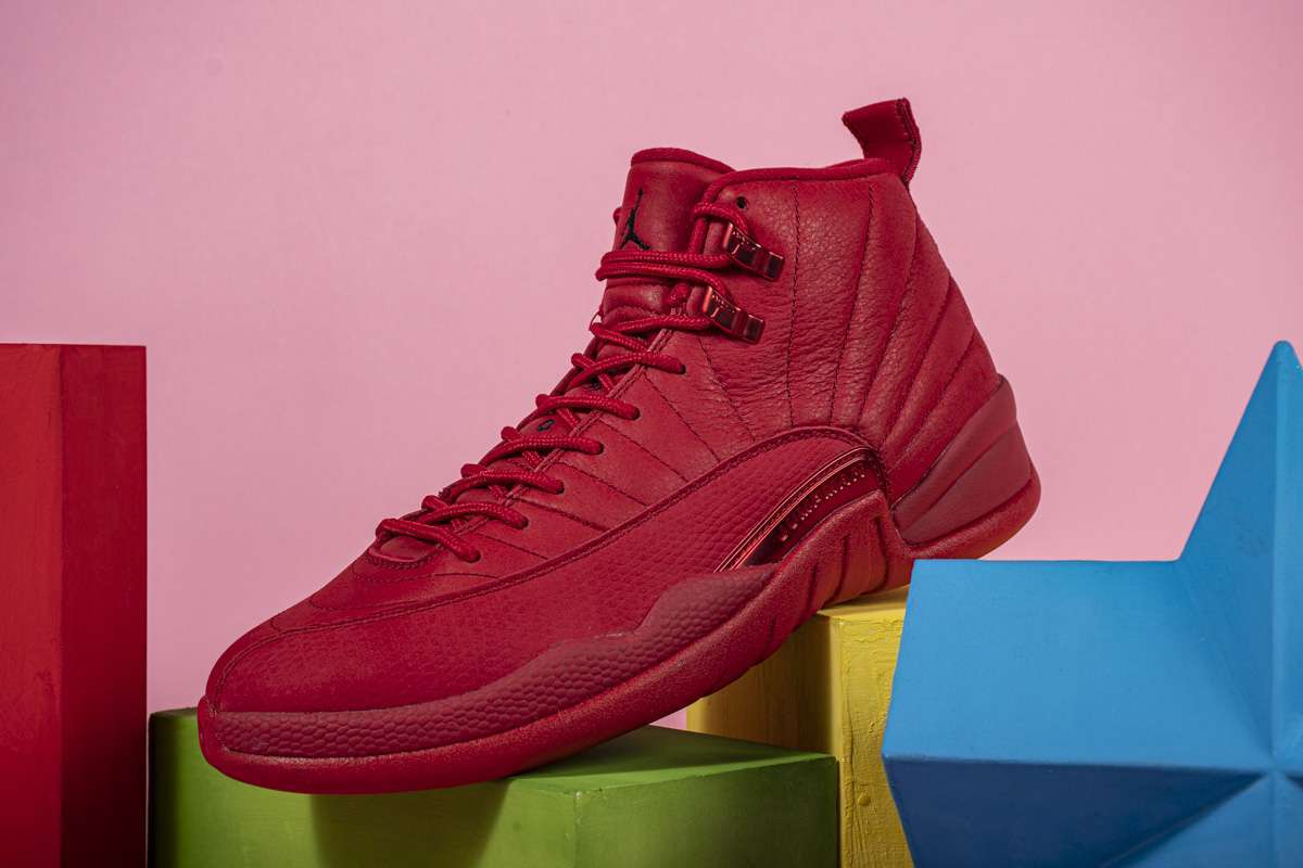 jordan 12 basketball