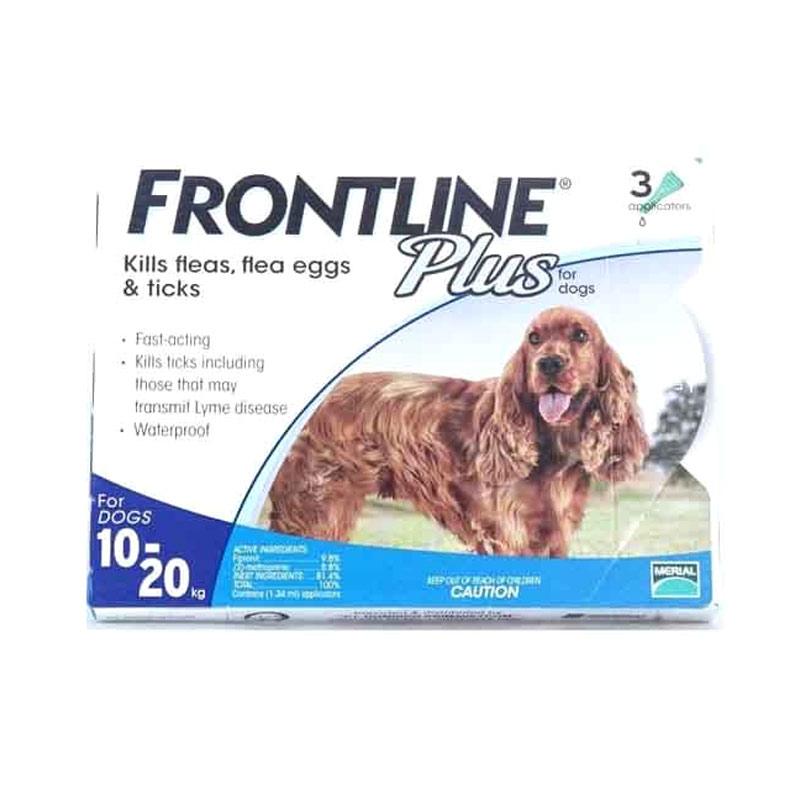 frontline anjing