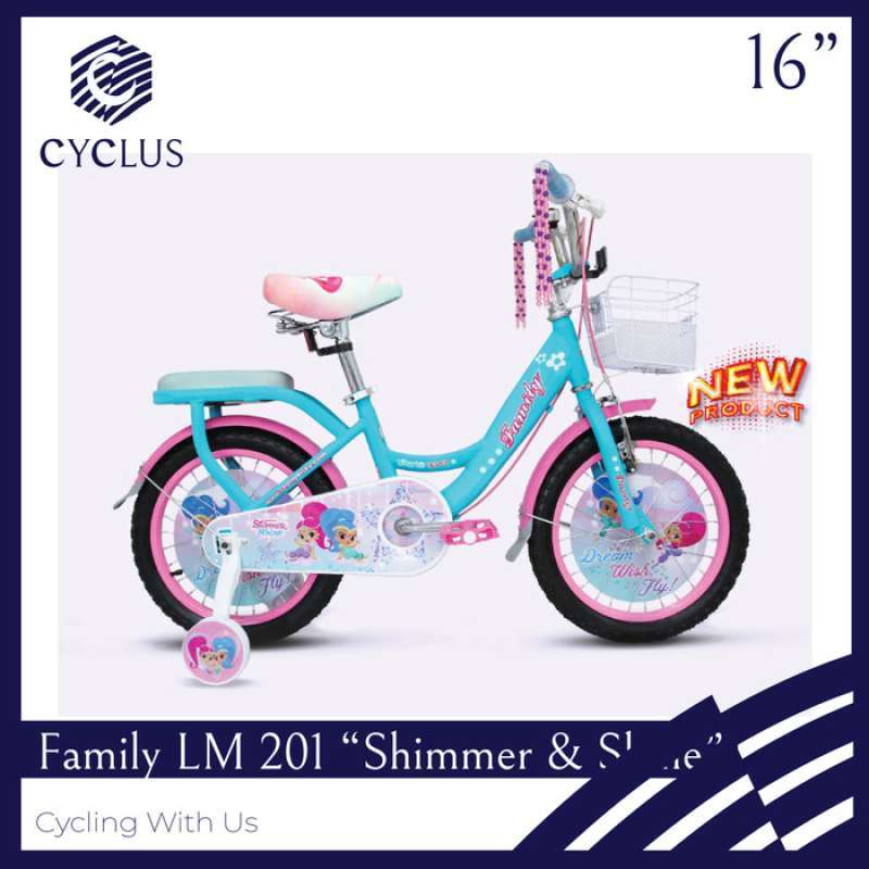 Shimmer and shine 16 inch bike hot sale
