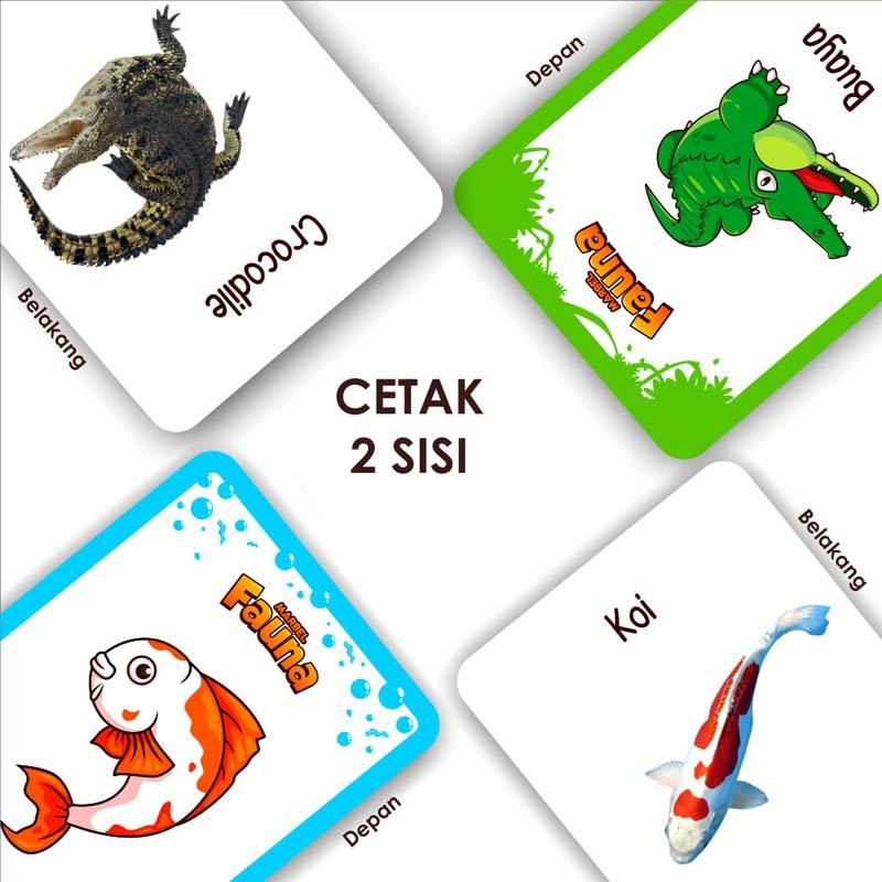 Jual Marbel Belajar Fauna Flashcard Bayi Pintar Kartu Bahasa Inggris Indonesia Online Oktober 2020 Blibli Com