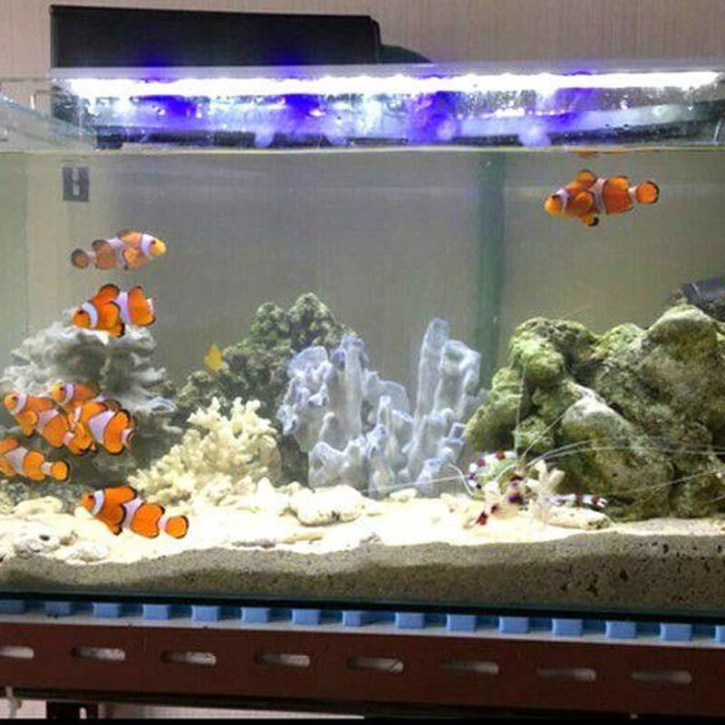 Jual Yamano P600 Lampu Aquarium Aquascape Ikan Original Online