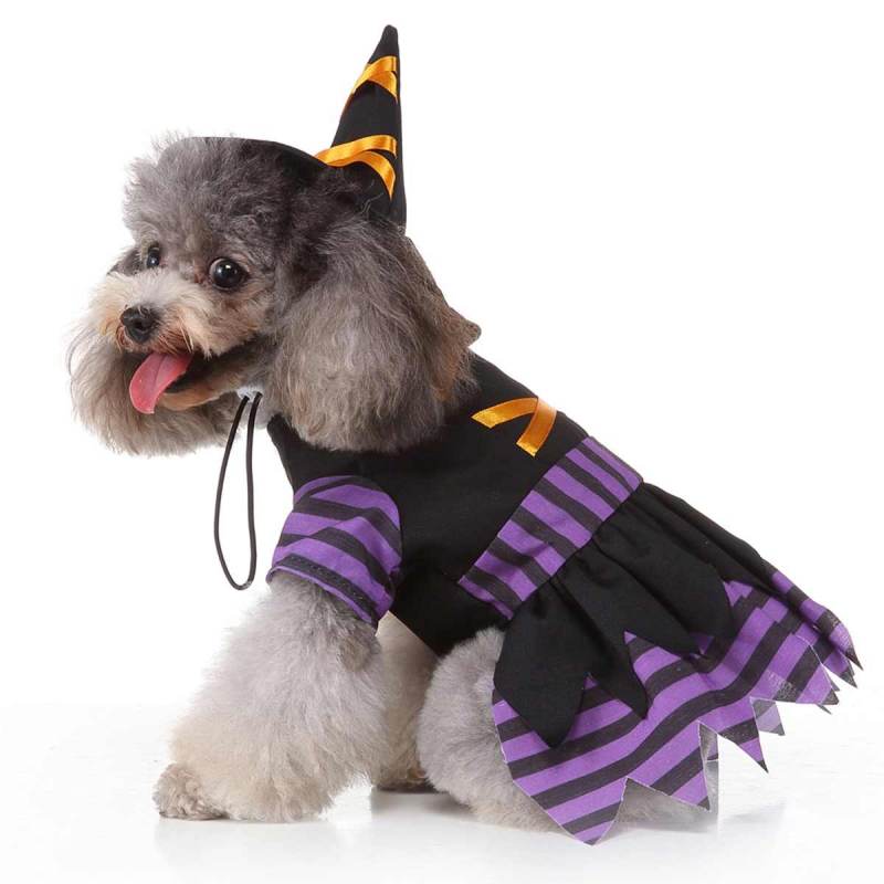 Jual Eds Halloween Cosplay Costume Pet Dog Costume For Small