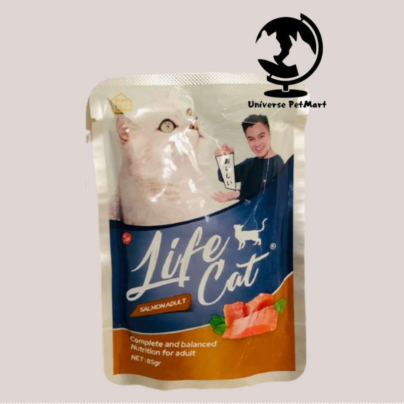 Wet food kucing top