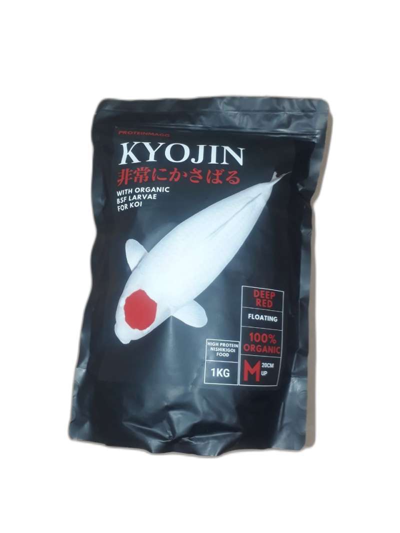 Jual Khojin 🏷️ Original Terbaru, Terlengkap, & Harga Jual Khojin 🏷️ Original Terbaru, Terlengkap, & Harga