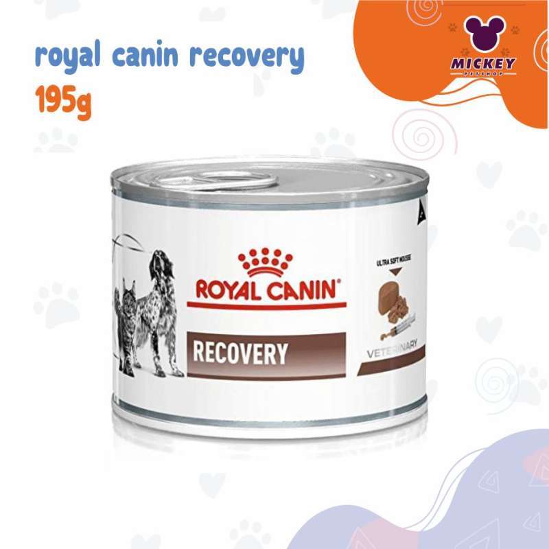 Kandungan royal canin recovery cheap