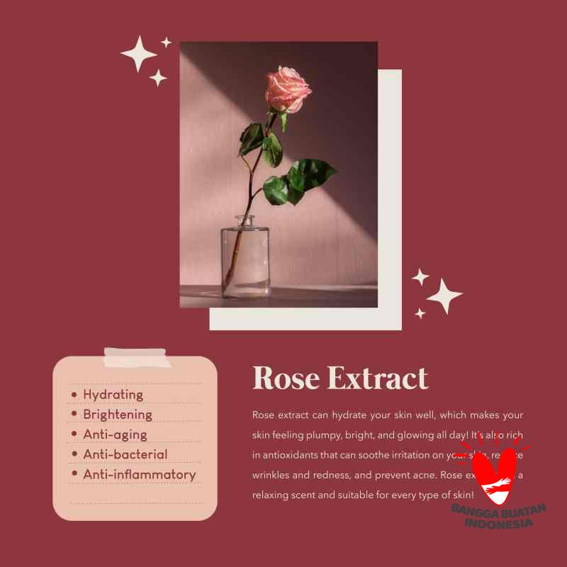 Jual Felfri Full Size Essence Rose Extract Online Oktober 2020 Blibli Com