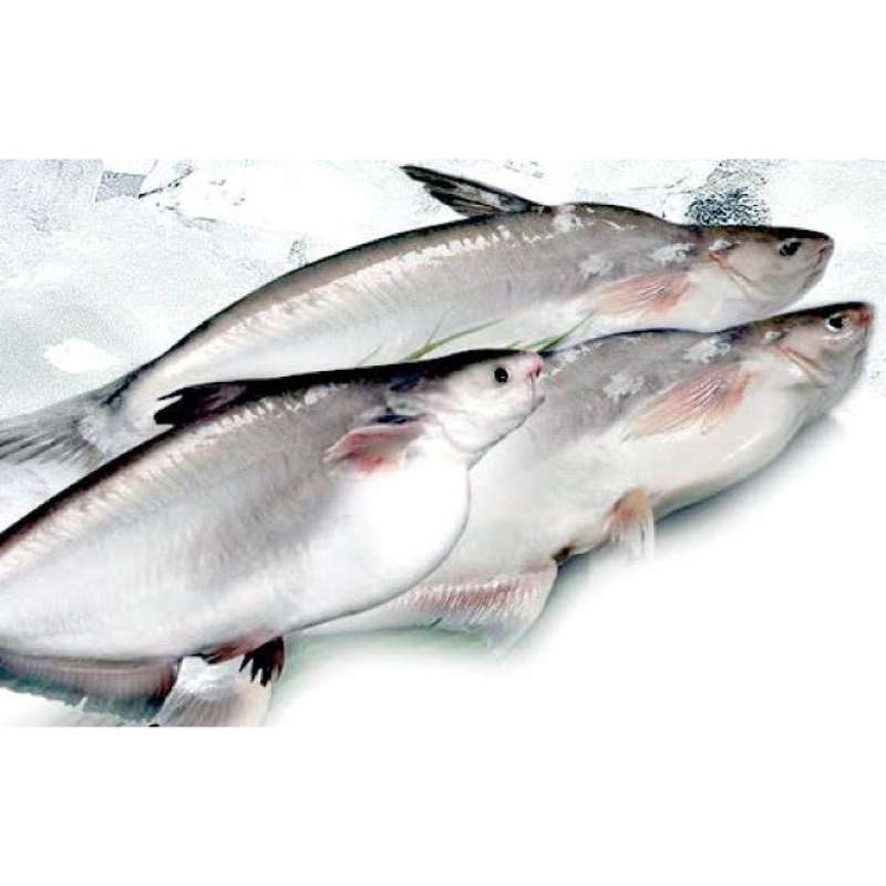 Jual Serbasedia Ikan Patin 1 1 4 Kg Online Oktober 2020 Blibli Com