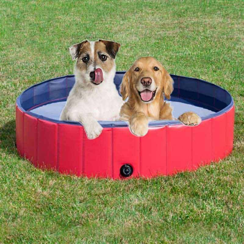 Jual Bluelans Collapsible Pet Bath Swiming Pool Puppy Cats Dogs Bathing Tub Bathtub Washer Small Red Online November 2020 Blibli Com