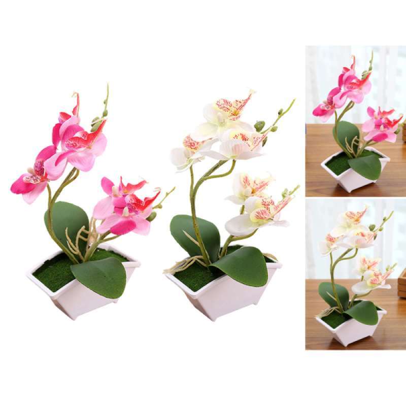 Jual 2 Colors Artificial Orchid Bonsai Simulated Flower Stem Floral Home Decor Online Desember 2020 Blibli