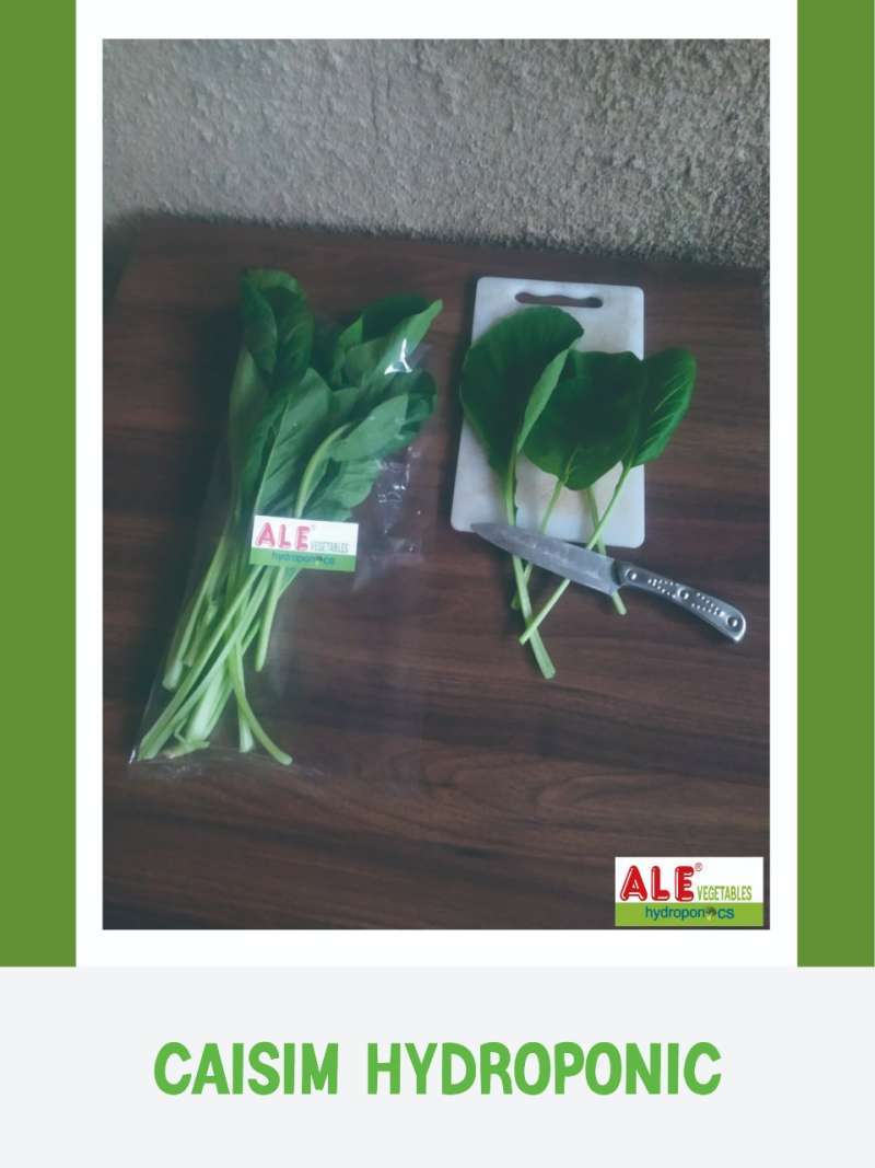 Alefruits Fresh Frozen Caisim Hypdroponik Caisim Sawi Hijau Sawi Bakso Sayur Hijau Sawi Hidroponic Hidroponik Terbaru Agustus 2021 Harga Murah Kualitas Terjamin Blibli