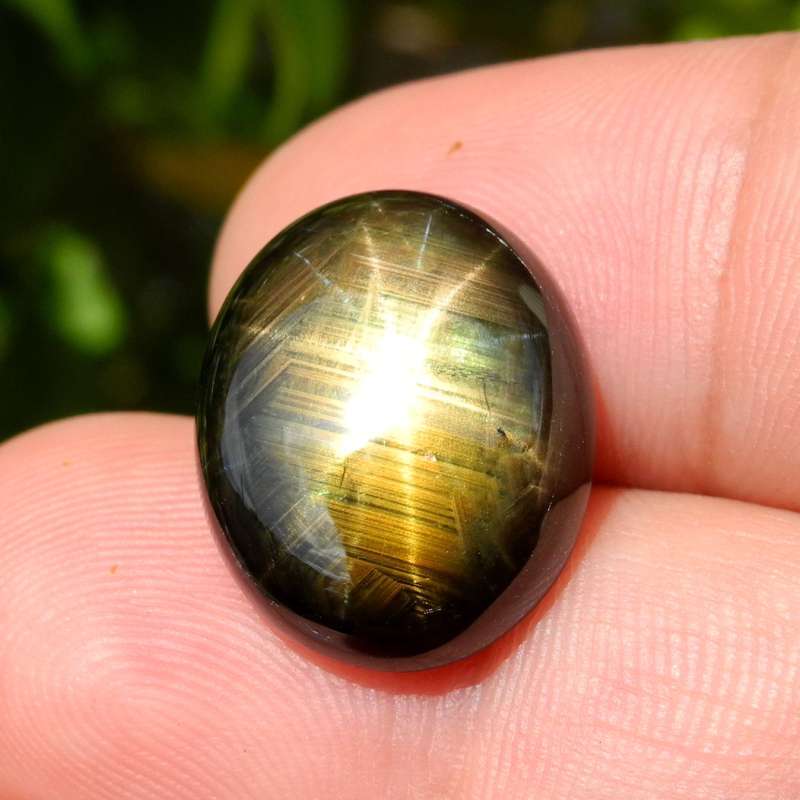 Golden sale star sapphire