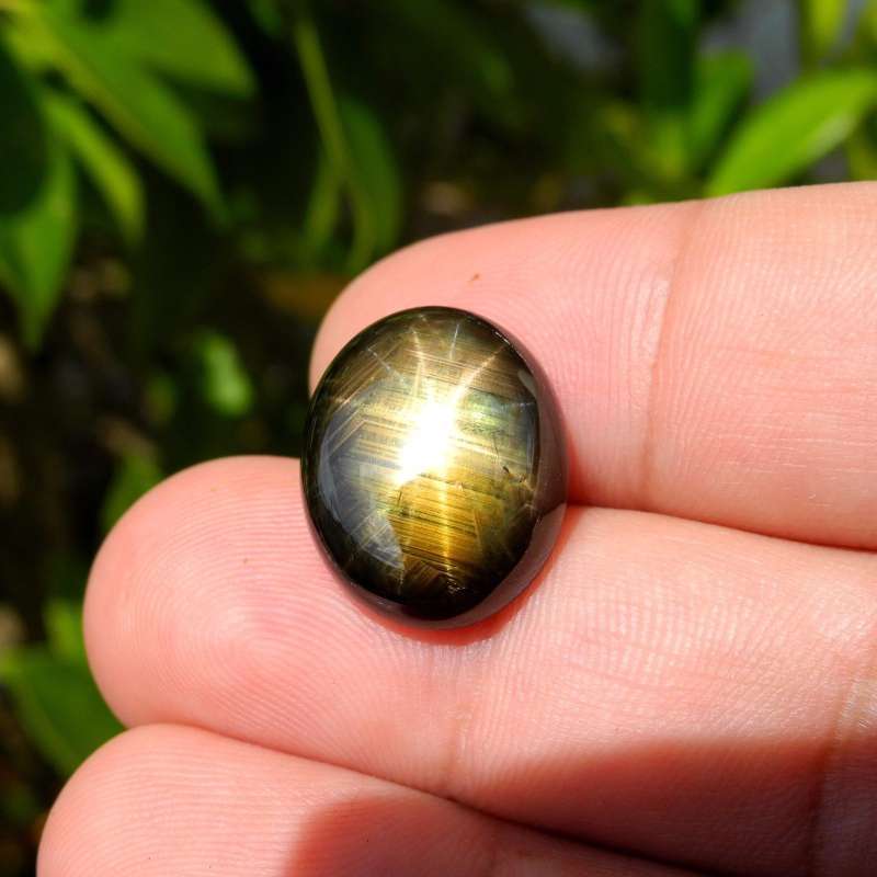 Jual Ss 251 Batu Permata Golden Black Star Sapphire 12 Rays Safir Hitam Emas Bintang 12 Sinar Thailand Natural 16.69 Ct. Bersertifkat Di Seller Adegems Roban Kota Singkawang Blibli
