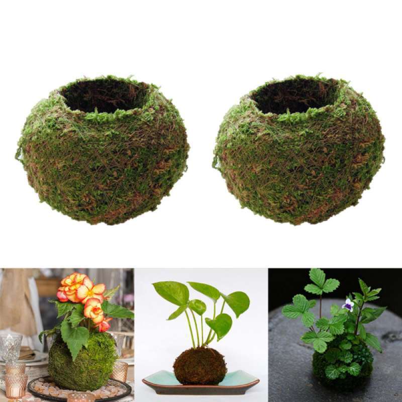 5 Packs 6~18cm Moss Ball Flower Pot Planter Bonsai Plant Holder Home Garden 