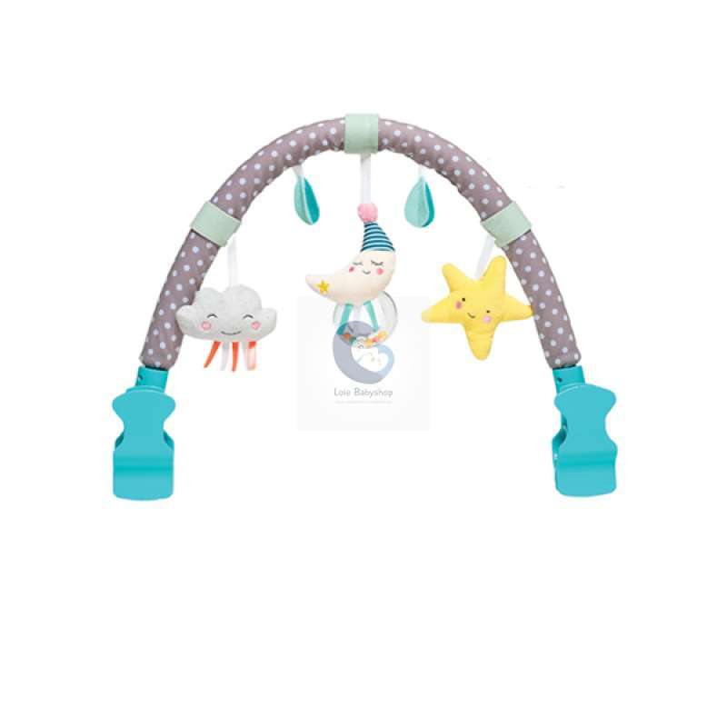 taf toys car seat toy