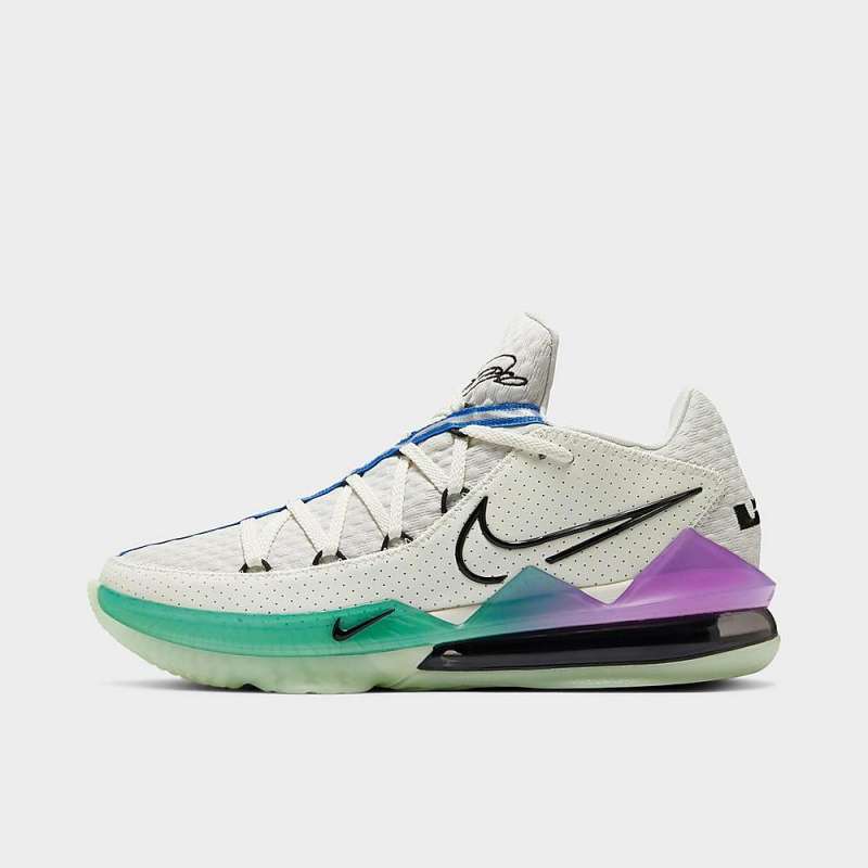 mens nike lebron 17