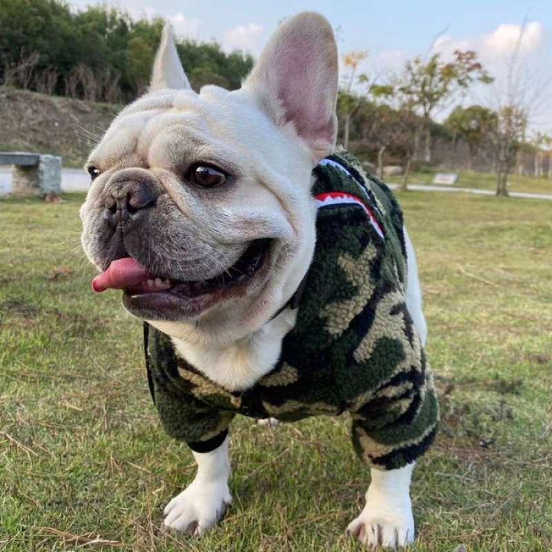 Bape dog hotsell jacket