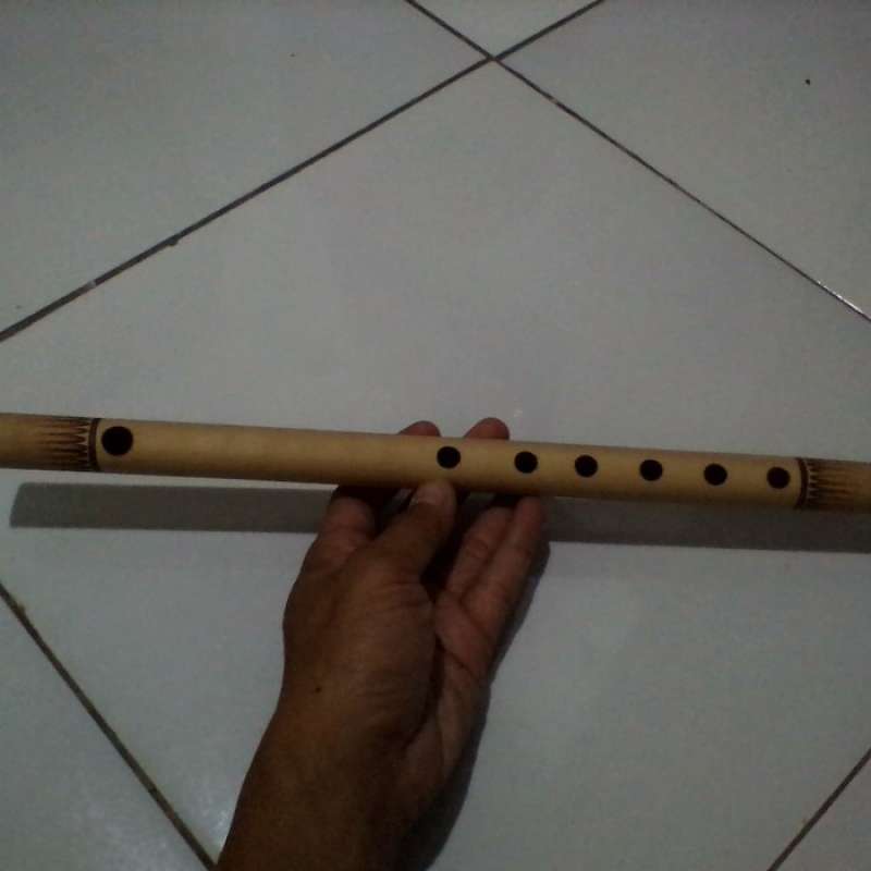 Promo Suling Bambu Seruling Sunda Lubang 6 Di Seller Arduino Shop Kota Depok Jawa Barat Blibli