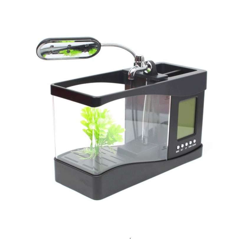 Aquarium Mini Cupang Lampu Alarm Jam Akuarium Hiasan Meja Gt Terbaru Agustus 2021 Harga Murah Kualitas Terjamin Blibli
