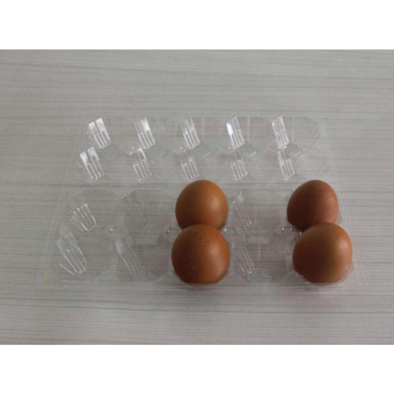 Standard Cell Split 6-Egg Clear Plastic Carton