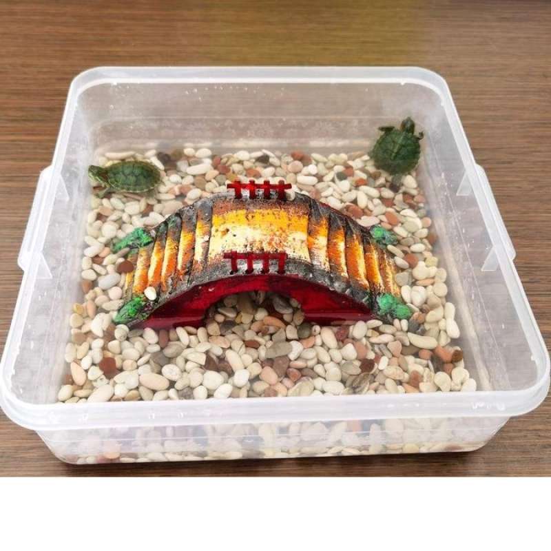 Promo Aquarium Kura Kura Tempat Kura Air Set Jembatan Berjemur Dan Batu Hias Di Seller Khanza Store Kota Jakarta Barat Dki Jakarta Blibli