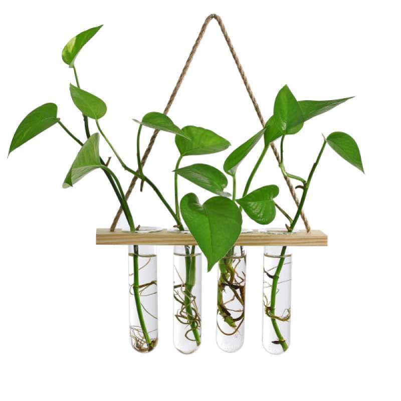 Plant Terrarium with Wooden Stand Rack Glass Test Tube Vintage Wood Frame Glass Vase 4 Tube 