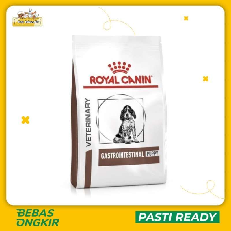 Gastro intestinal puppy new arrivals