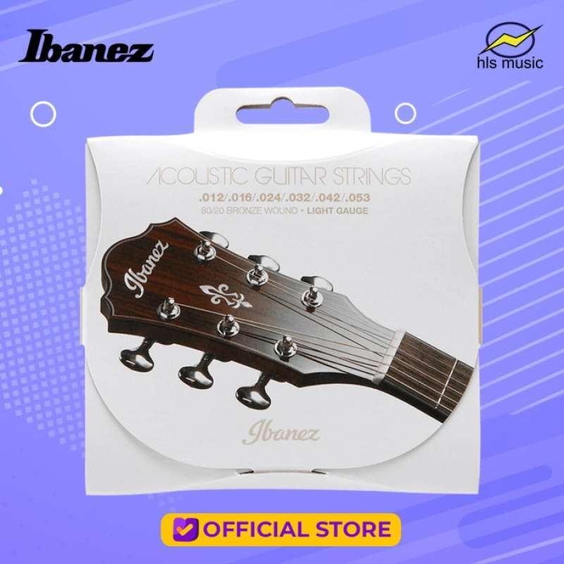 Jual Ibanez Iacs6C Acoustic Strings Bronze Coated 0.12 0.53 di