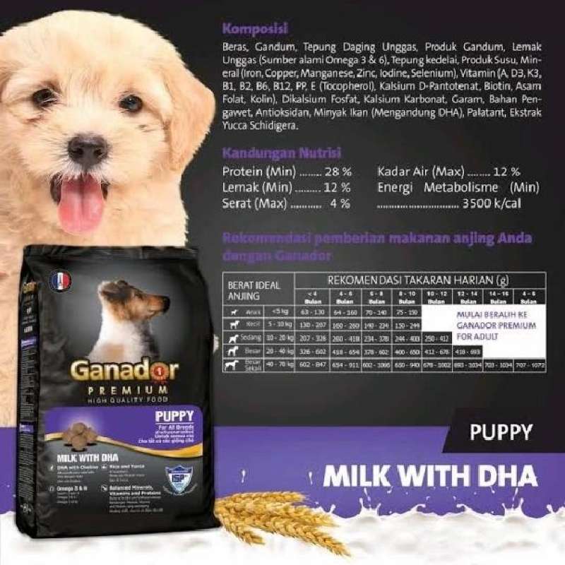 Ganador dog deals food