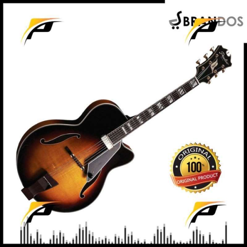 Jual Gitar Elektrik Akustik Hollow Body Peerless Monarch Solid