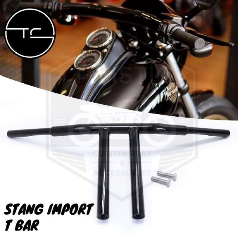 Stang harley clearance sportster