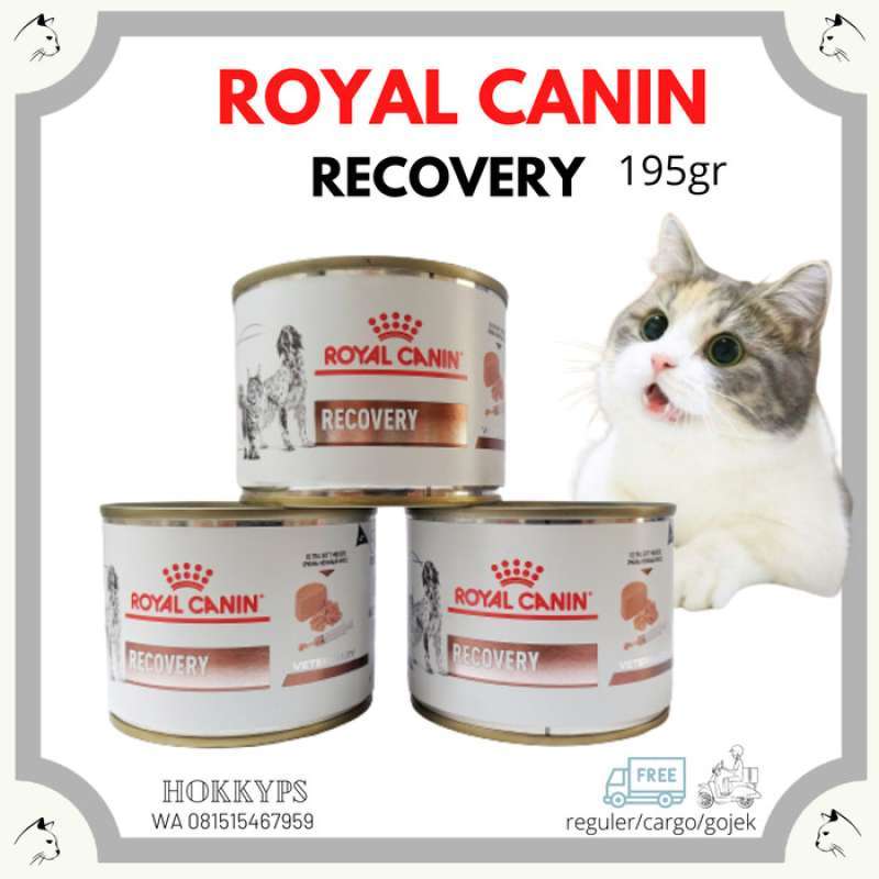 Royal canin recovery shop untuk kitten