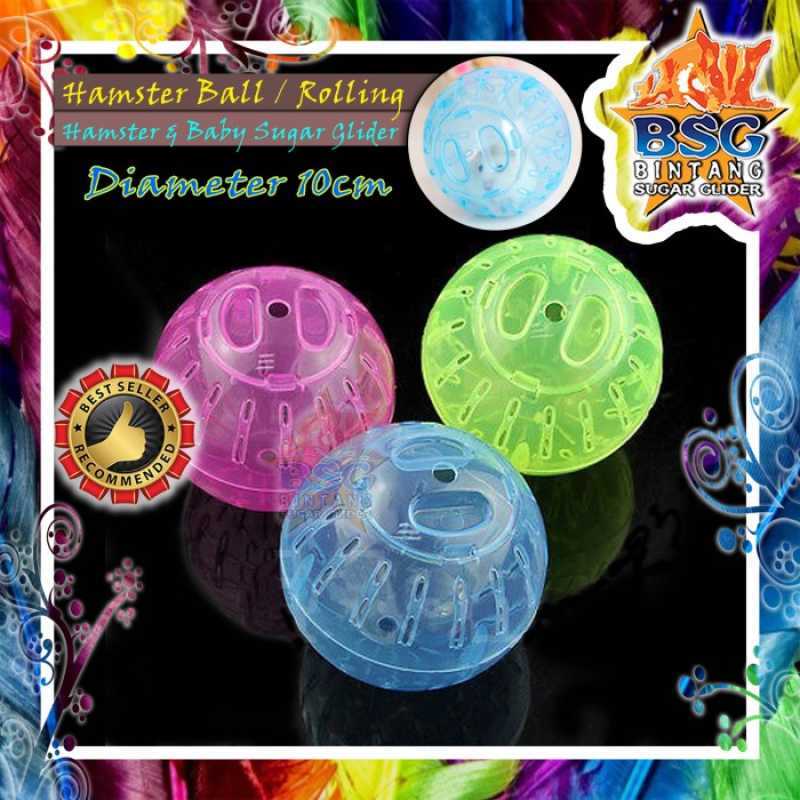 Bola Hamster Hamster Ball Joging Ball Rolling Mainan Hamster