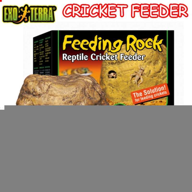 Cricket hotsell feeder rock
