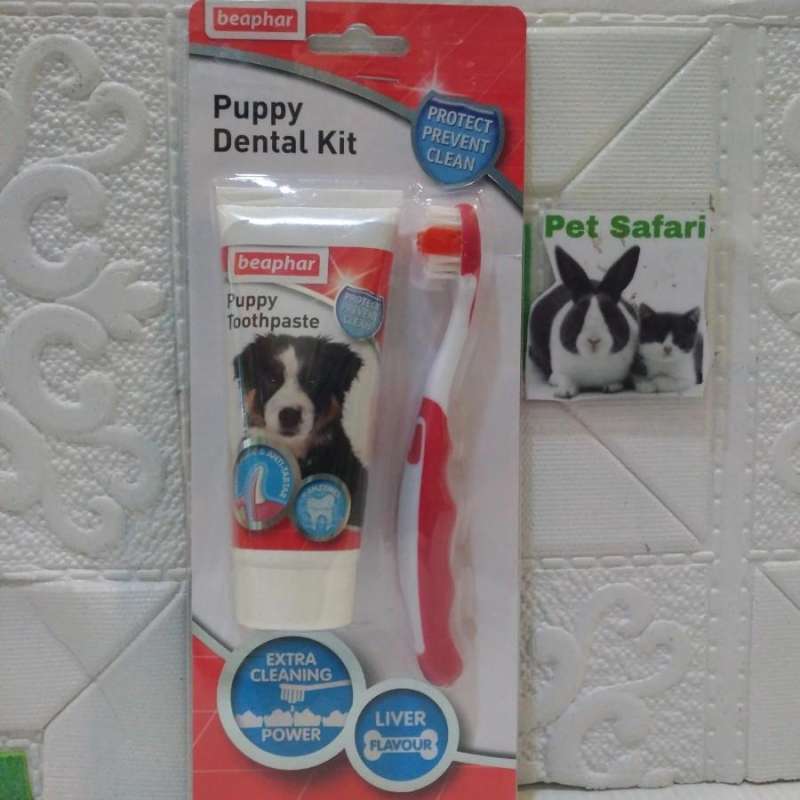 Beaphar puppy new arrivals dental kit