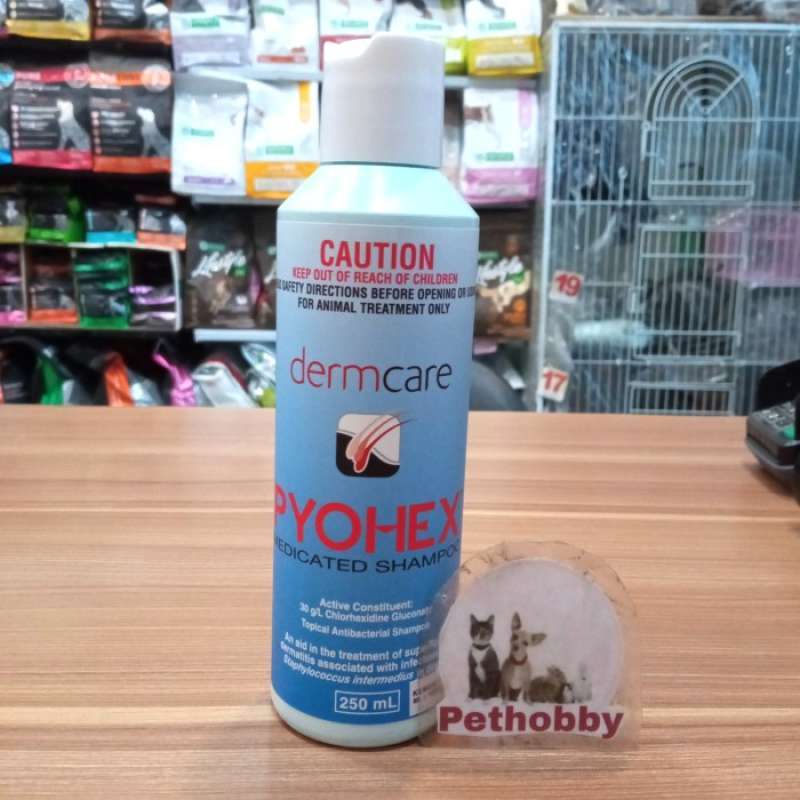 Dermcare pyohex deals medicated shampoo