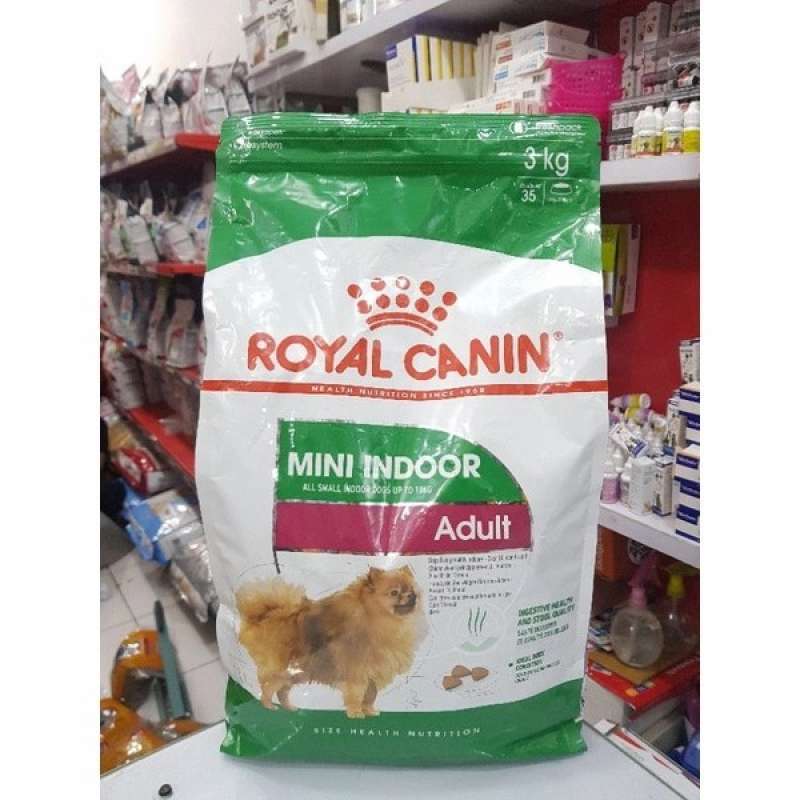 Mini sales indoor adult