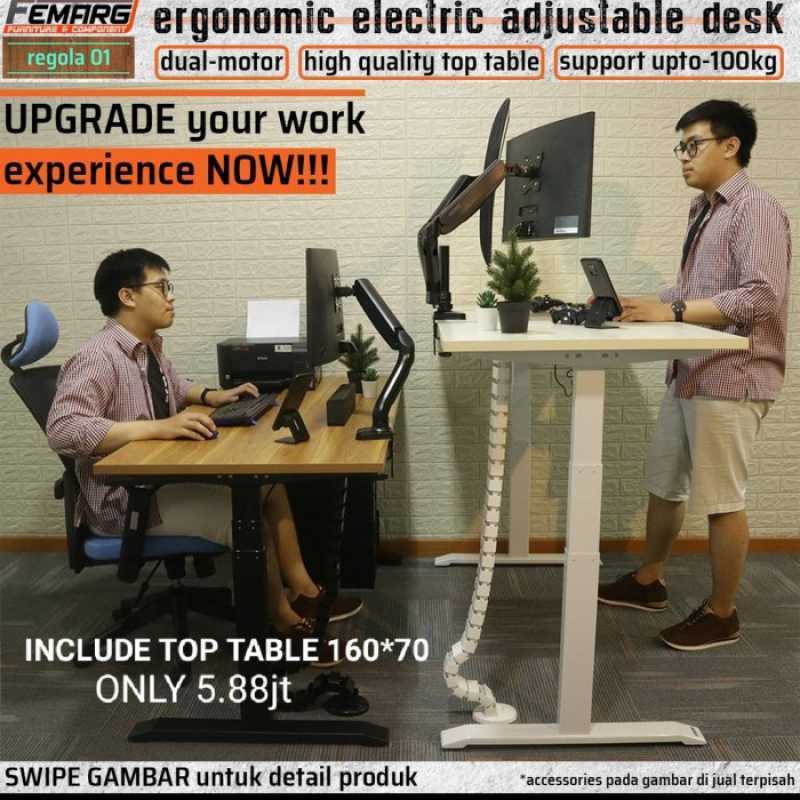 Femarg desk hotsell