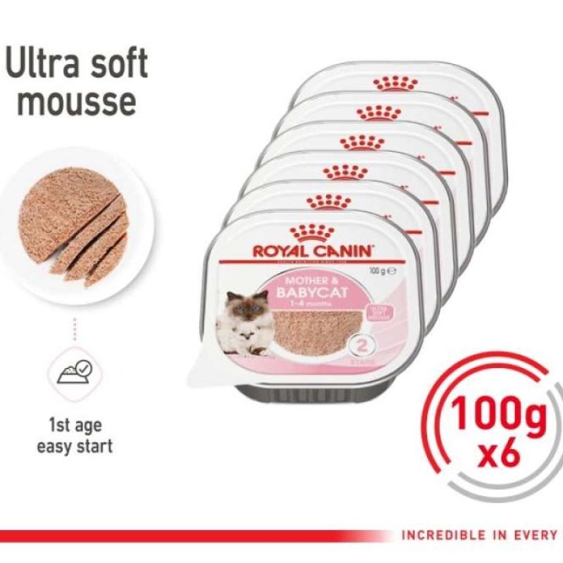 Promo Royal Canin Mother Babycat Mousse 100g x 6 Wet Makanan