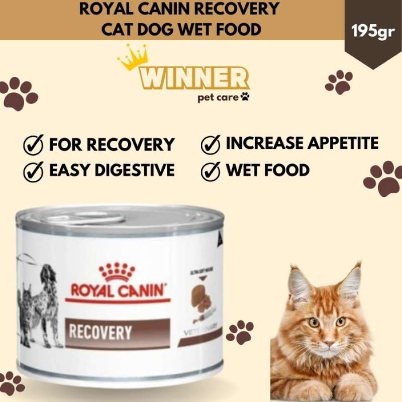 Promo Royal Canin Recovery 195gr Diskon 23% Di Seller Laraji Store -  Kalibata, Kota Jakarta Selatan