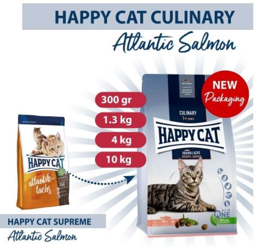 Happy cat salmon discount