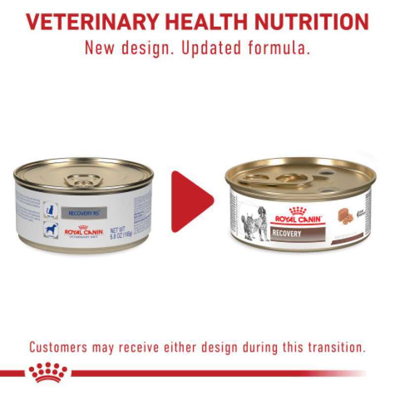 Royal canin recovery shop rs