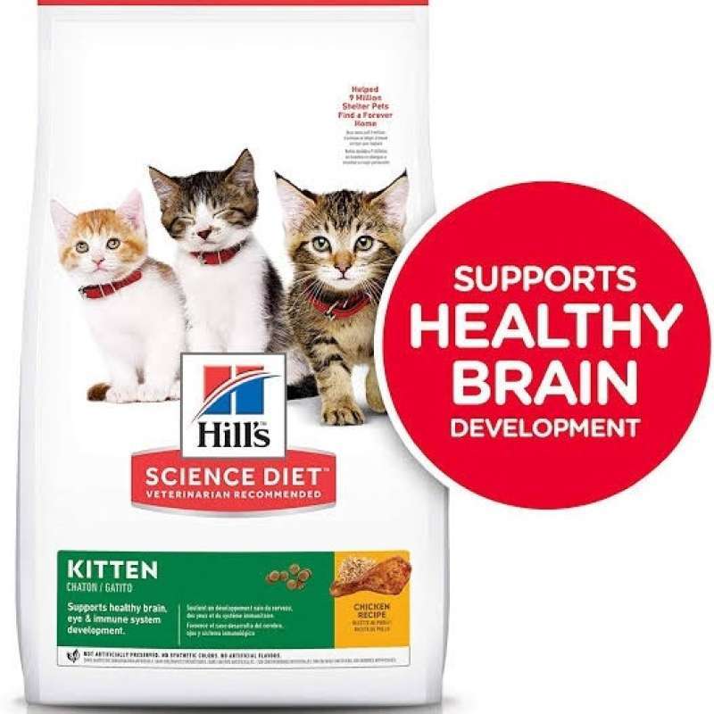 Hill's feline hot sale kitten