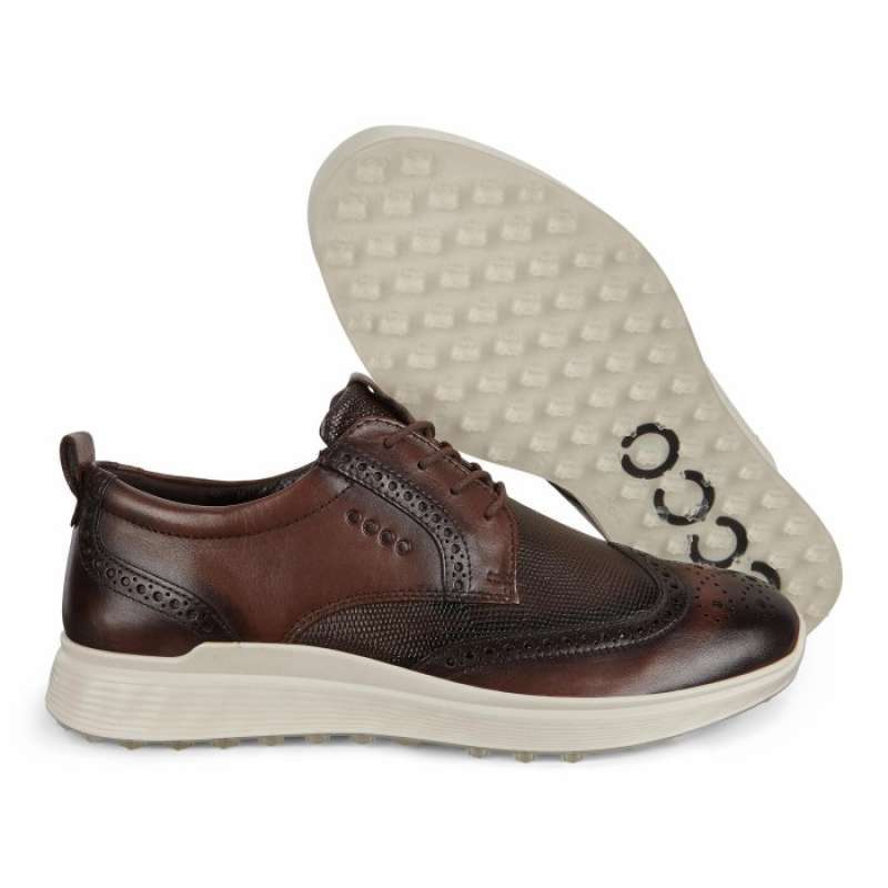 Ecco shoes harga best sale