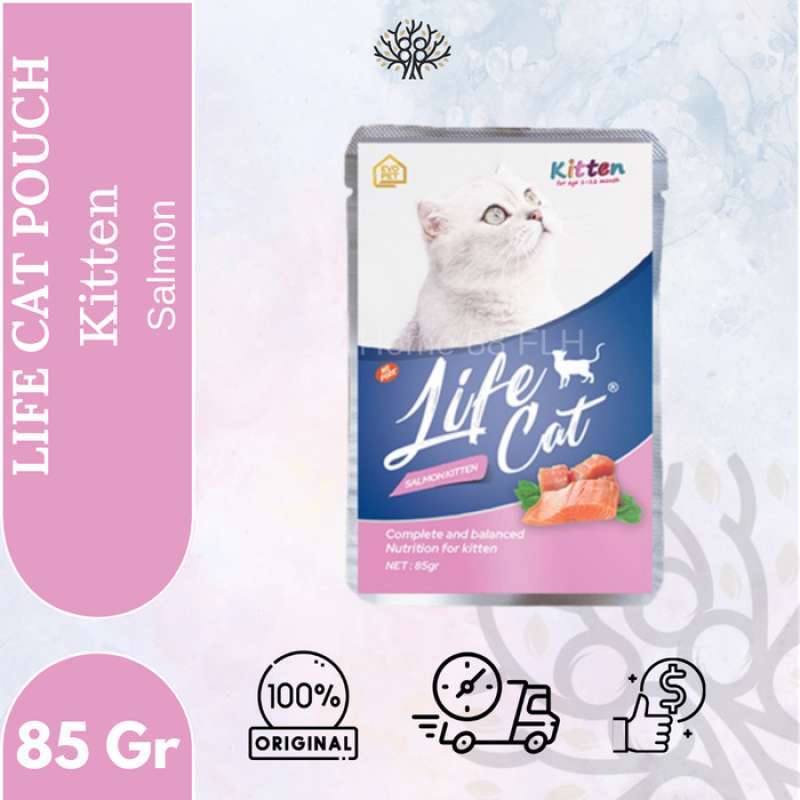Wet food discount untuk kitten
