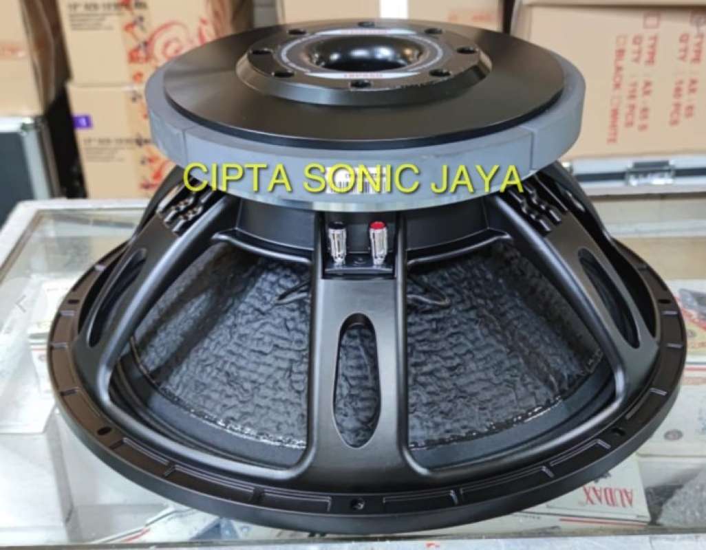 Speaker wisdom sales 18 inch