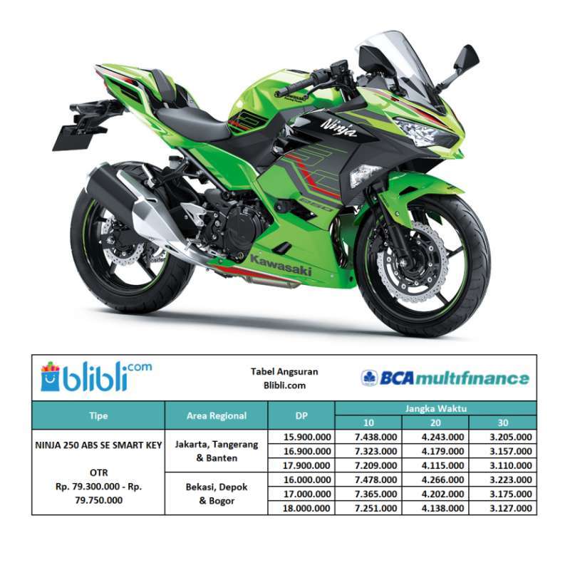 Dp ninja 250 hotsell