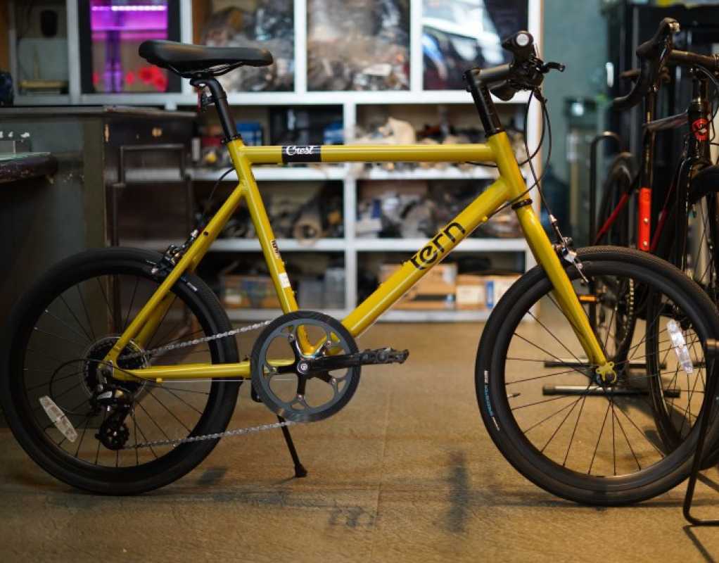 Minivelo tern crest online
