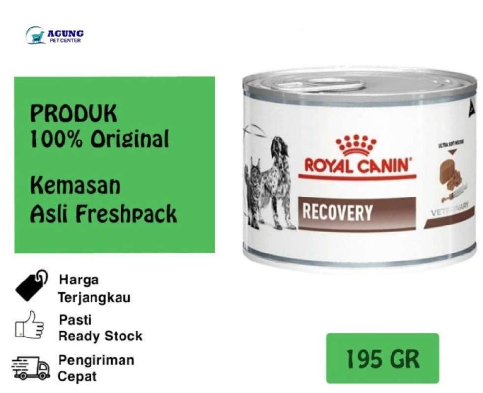Royal canin deals recovery untuk kitten