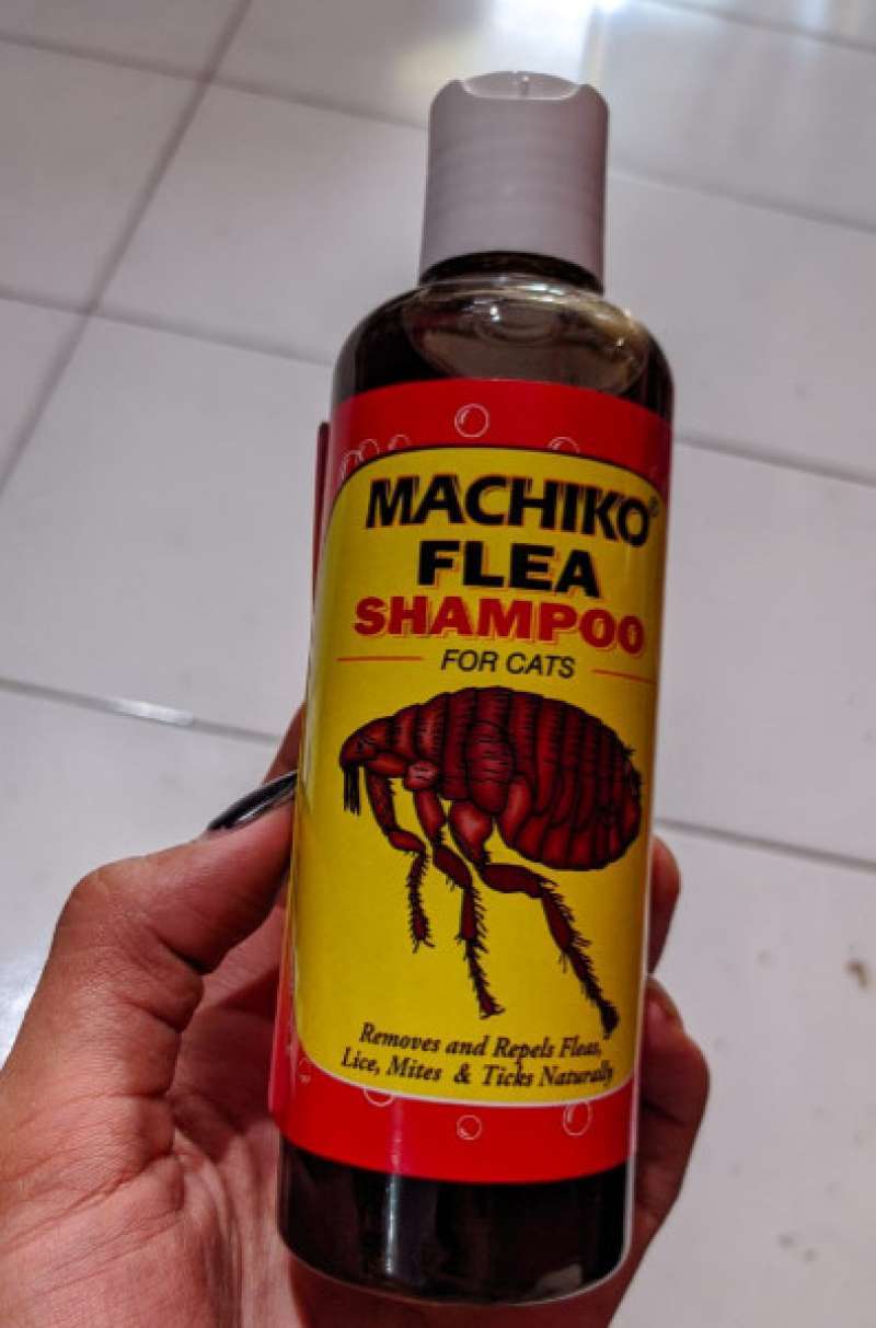 Machiko flea shampoo online