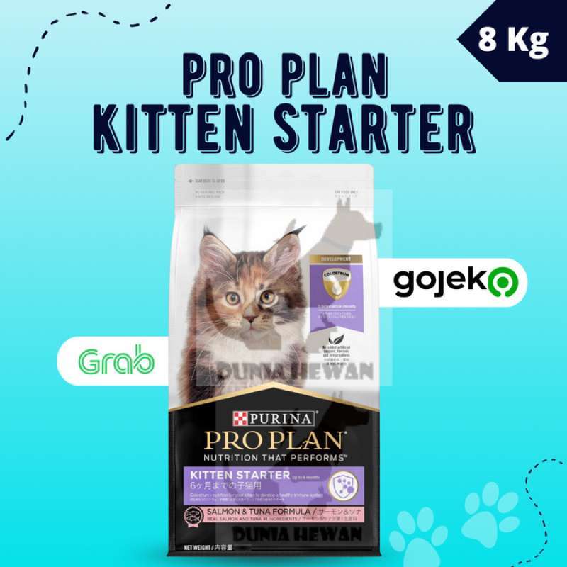 Pro plan kitten 7kg sales